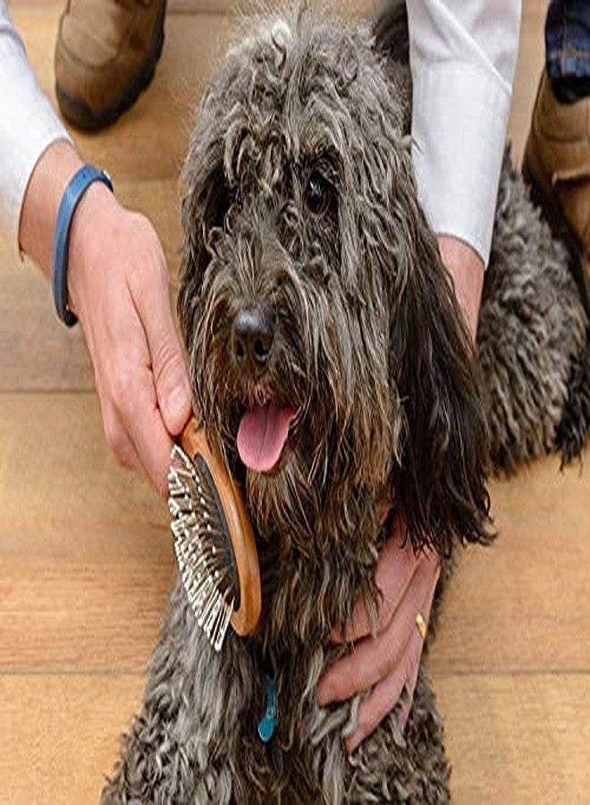 سايج سكوير فرشاة تنظيف وتقليم شعر الحيوانات الأليفة من الخشب الطبيعي من سيج سكوير، ذات وجهين من الدبابيس والشعيرات، مناسبة للكلاب والقطط ذات الشعر الطويل أو القصير (حجم صغير). - Image 5